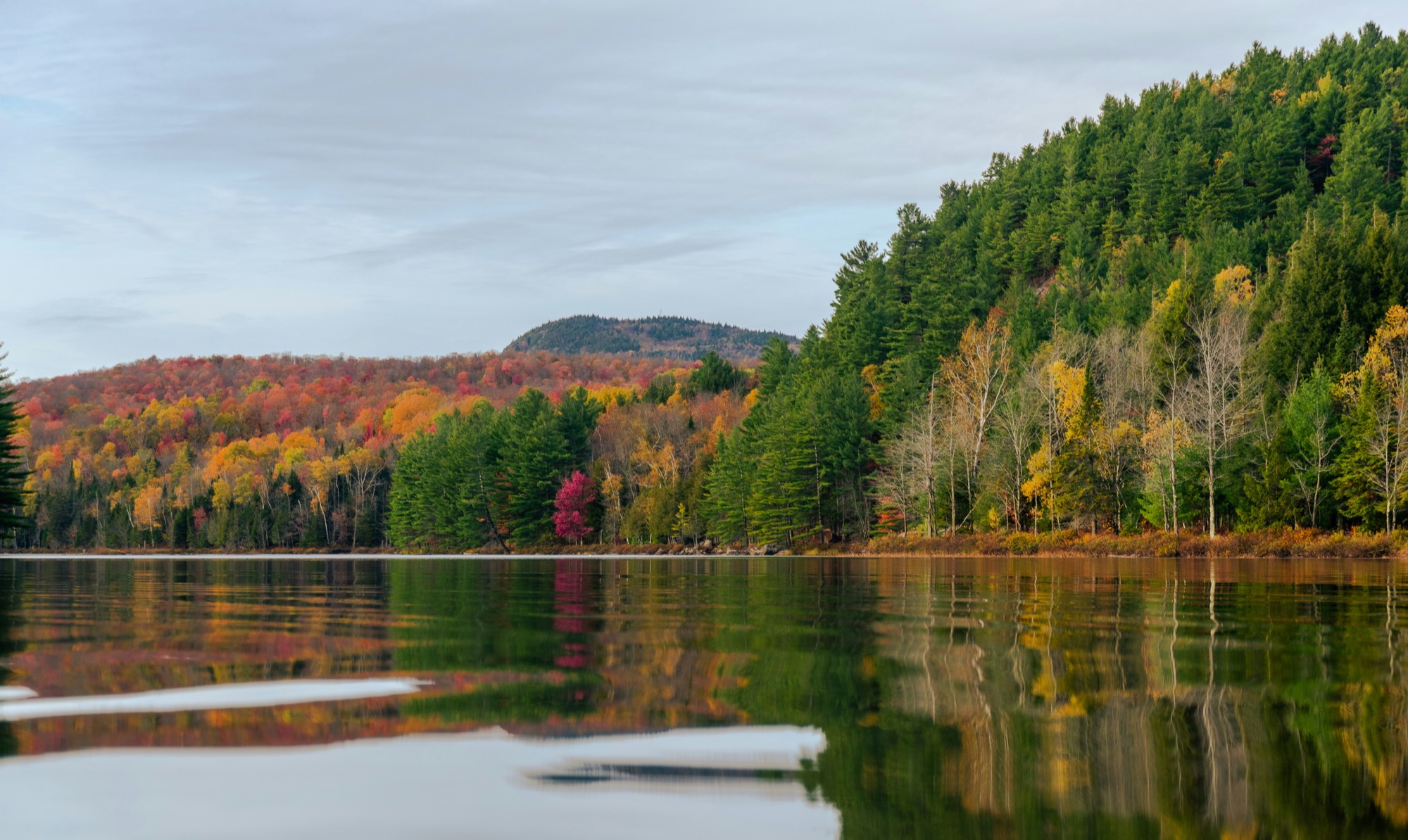 Forêt d'automne et lac — territoire Cherry River